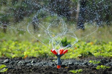 Bewässerung & Entwässerung